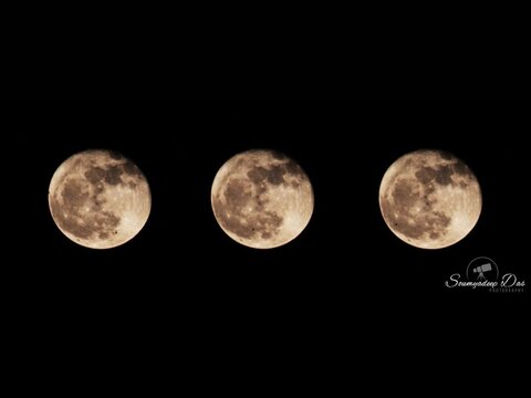 The shots of the moon showing a bat (or a bird) flying past the full moon. The flapping of the wings can be seen clearly in the lower half of the moon. 1/160sec f/5.7 ISO800 images captured on Canon EOS 700D.